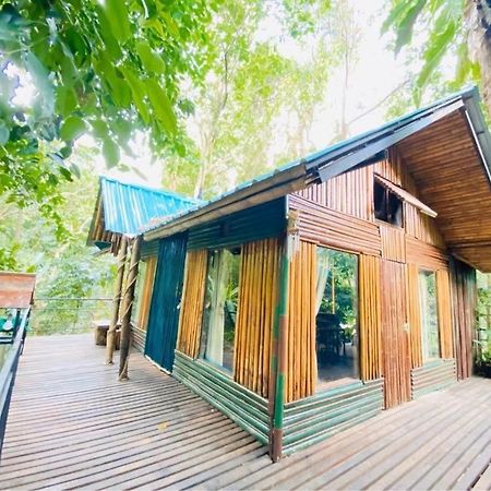 Khao Sok Tree House Resort Khao Sok National Park Bagian luar foto