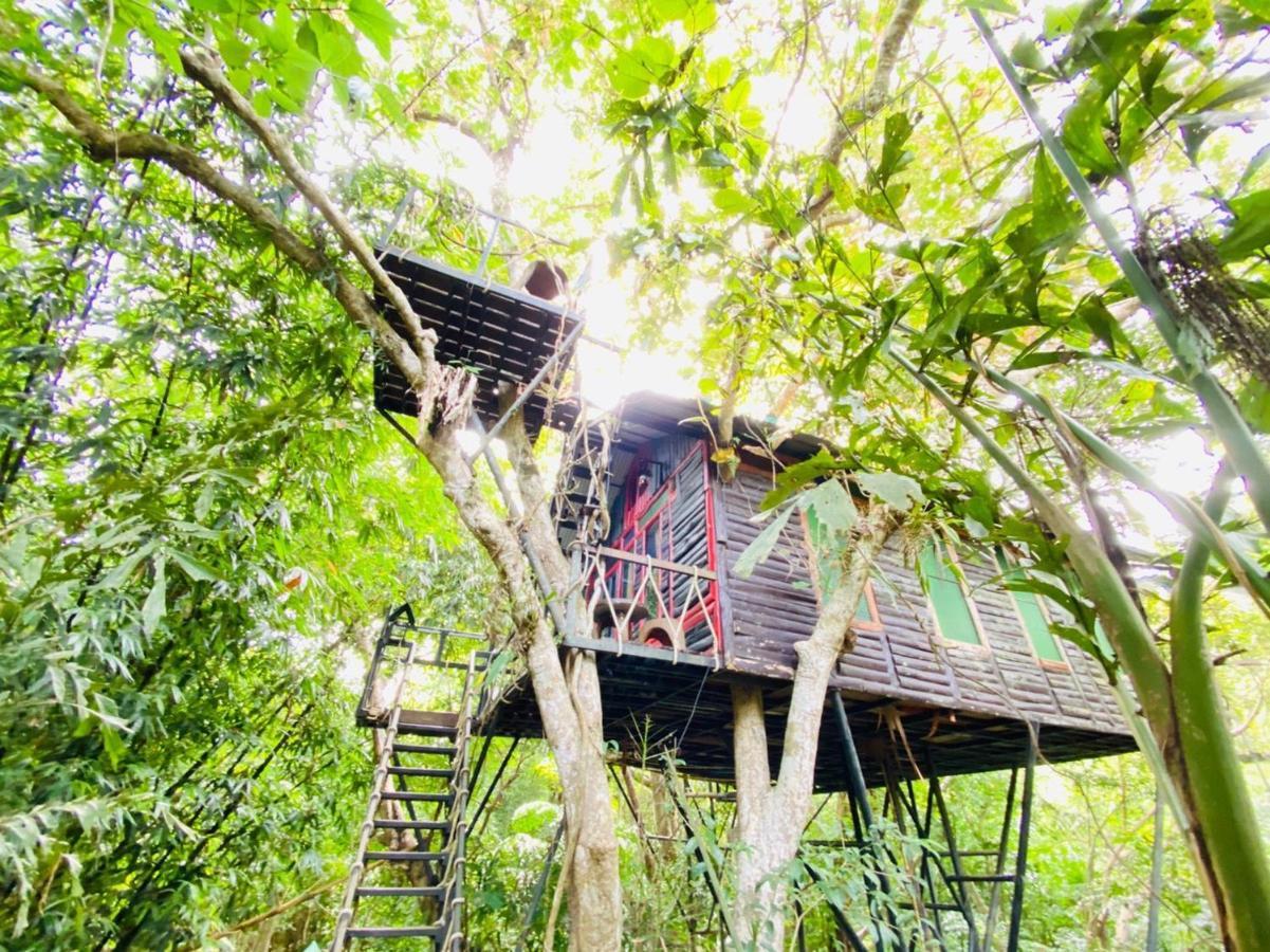 Khao Sok Tree House Resort Khao Sok National Park Bagian luar foto