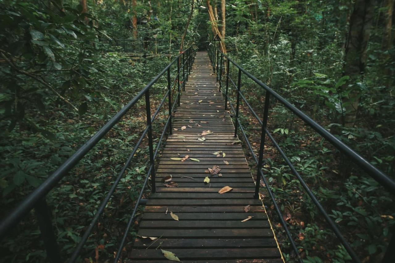 Khao Sok Tree House Resort Khao Sok National Park Bagian luar foto