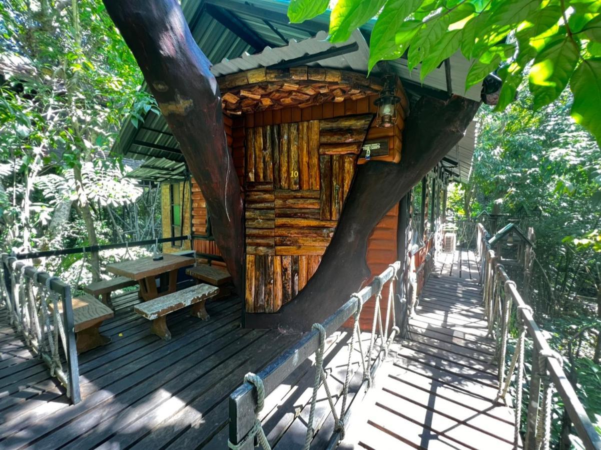 Khao Sok Tree House Resort Khao Sok National Park Bagian luar foto