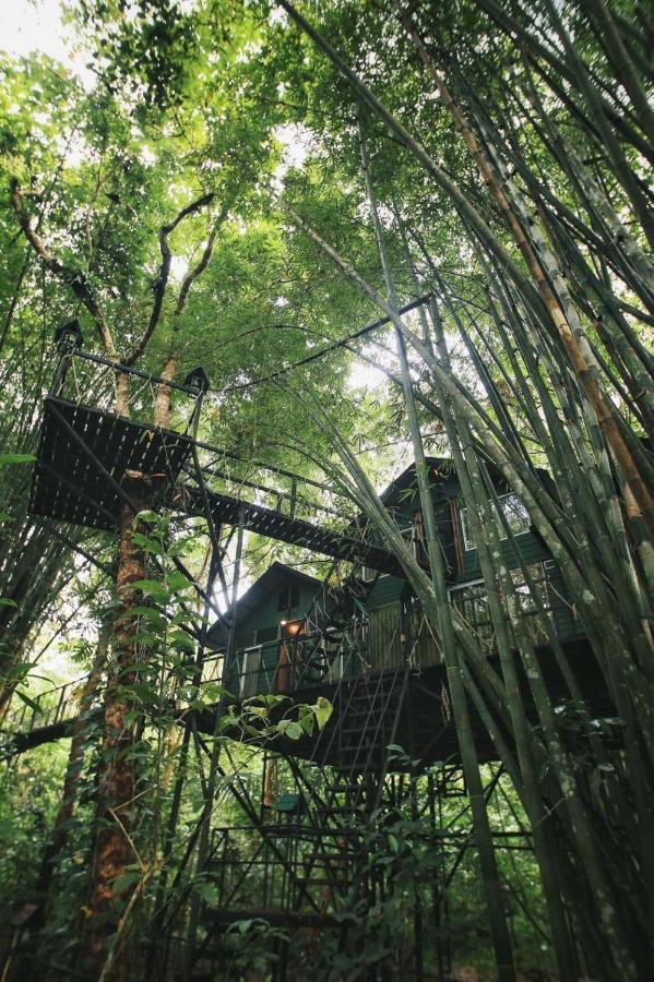 Khao Sok Tree House Resort Khao Sok National Park Bagian luar foto