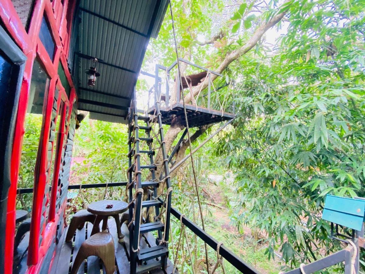 Khao Sok Tree House Resort Khao Sok National Park Bagian luar foto