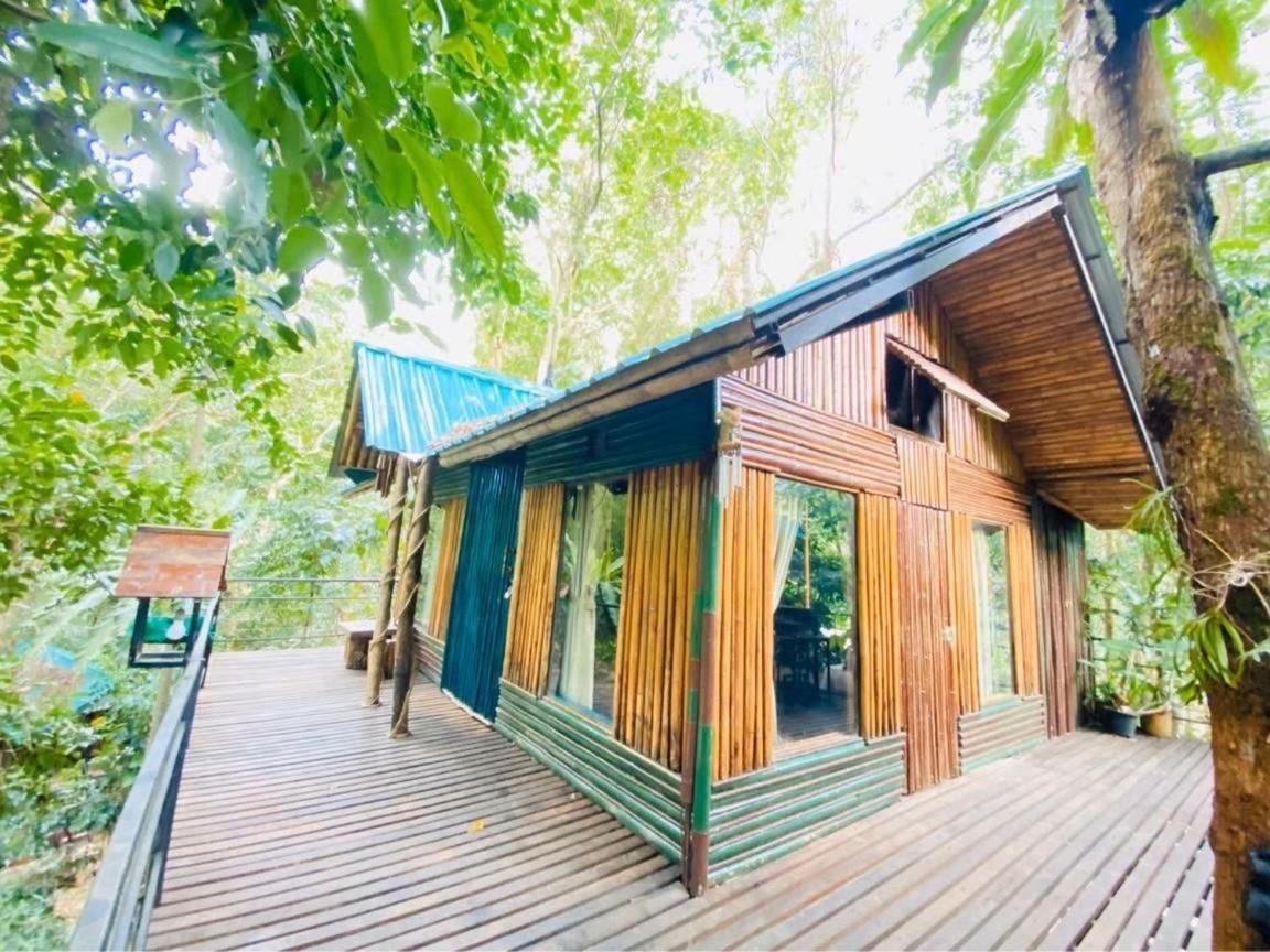 Khao Sok Tree House Resort Khao Sok National Park Bagian luar foto