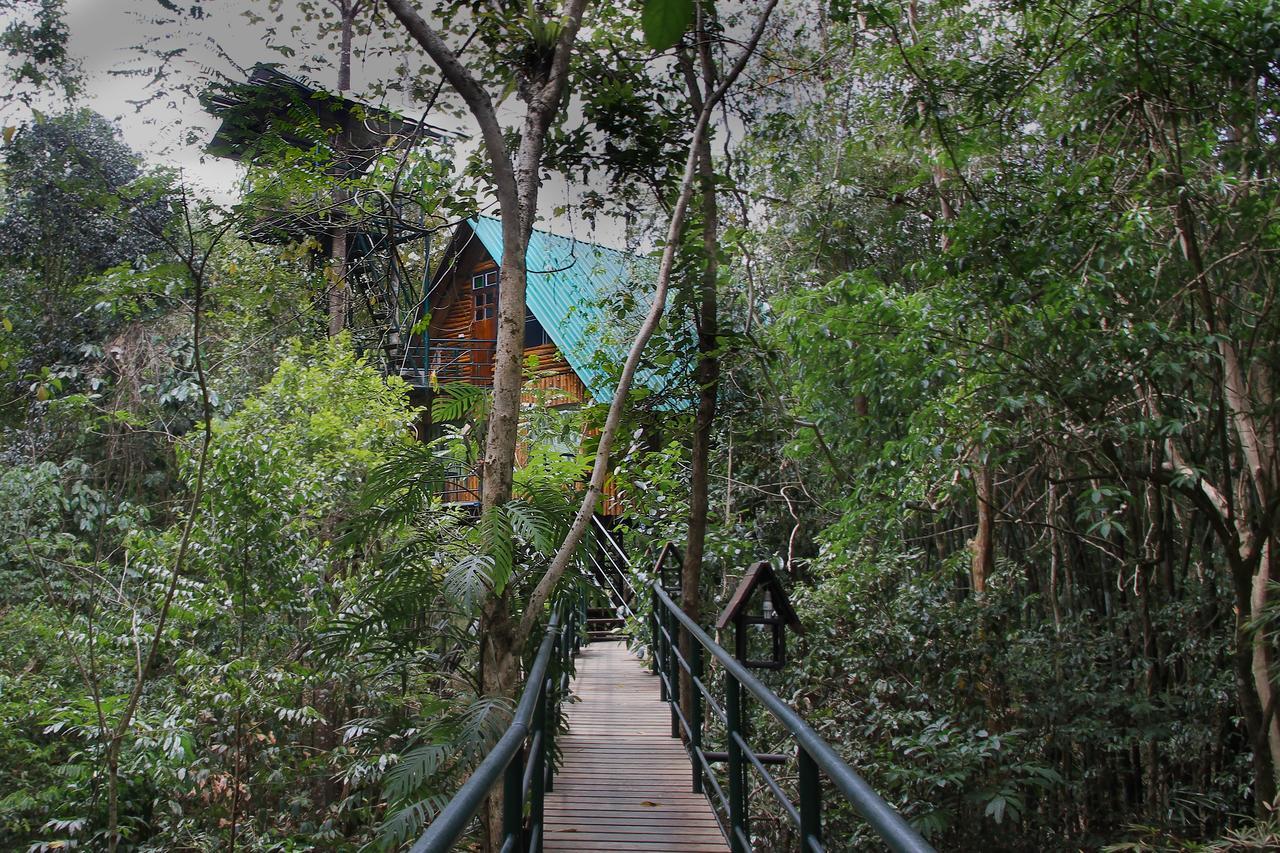 Khao Sok Tree House Resort Khao Sok National Park Bagian luar foto