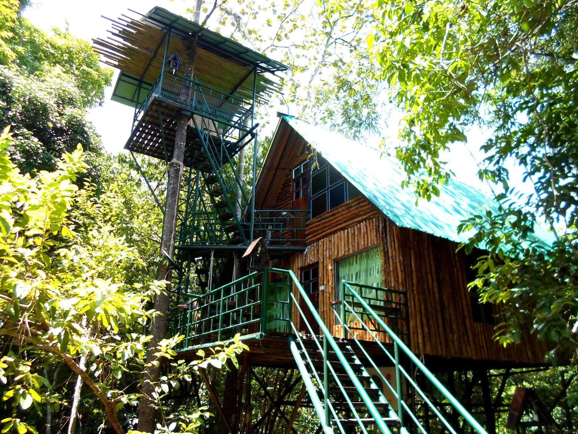 Khao Sok Tree House Resort Khao Sok National Park Bagian luar foto