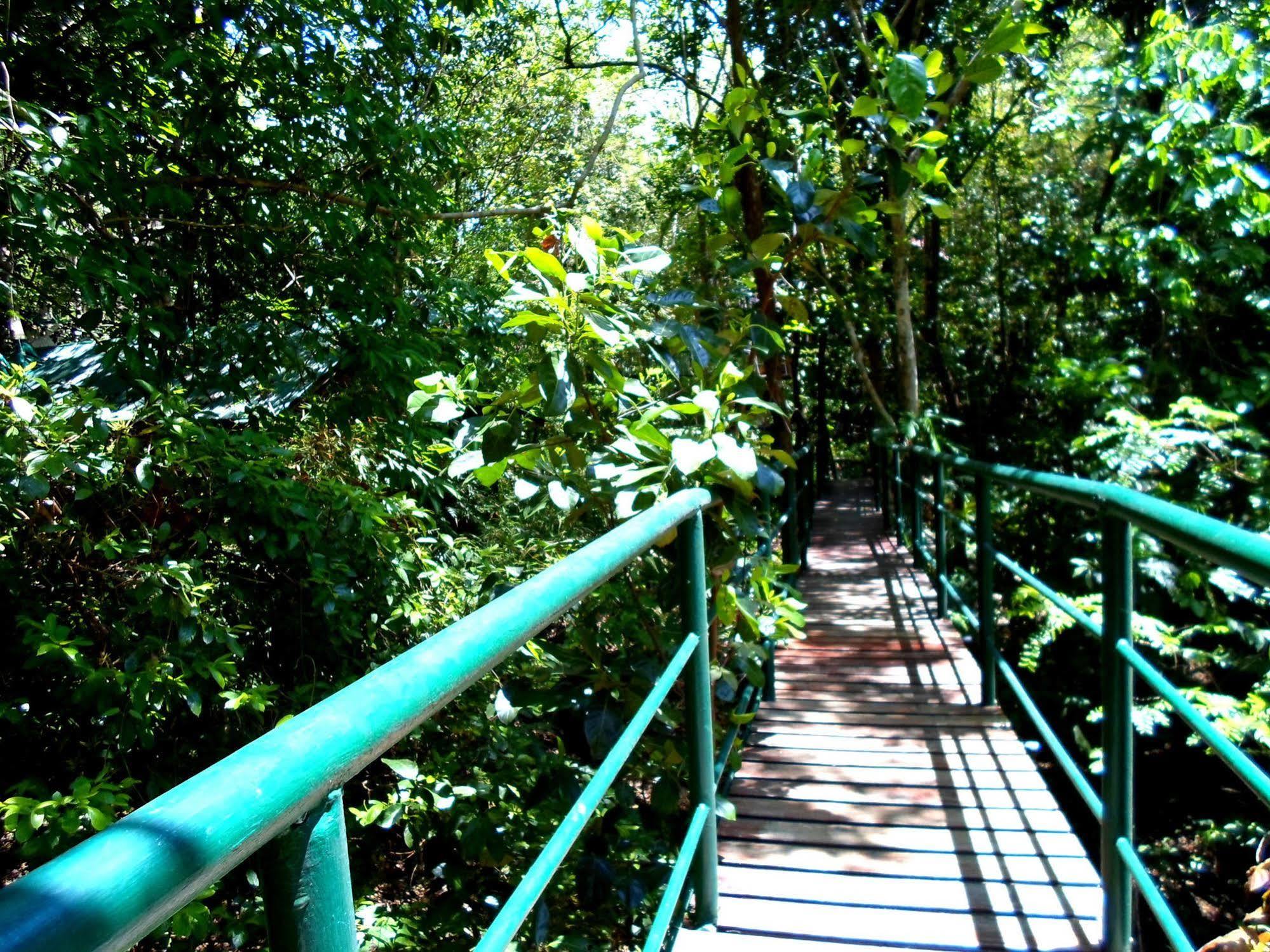 Khao Sok Tree House Resort Khao Sok National Park Bagian luar foto