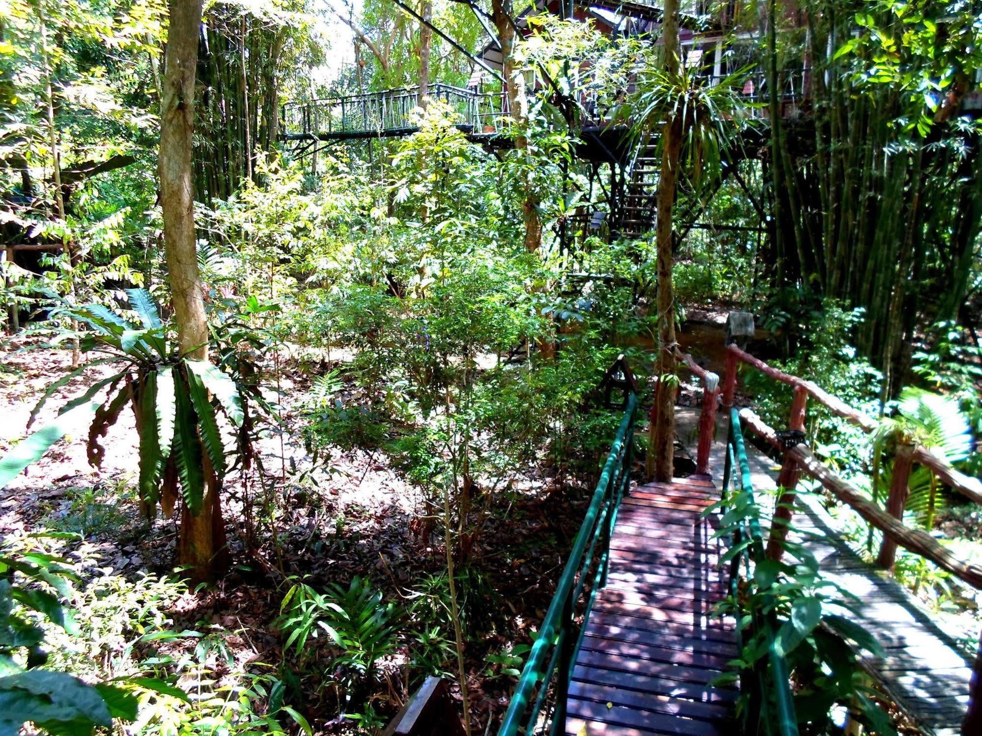 Khao Sok Tree House Resort Khao Sok National Park Bagian luar foto