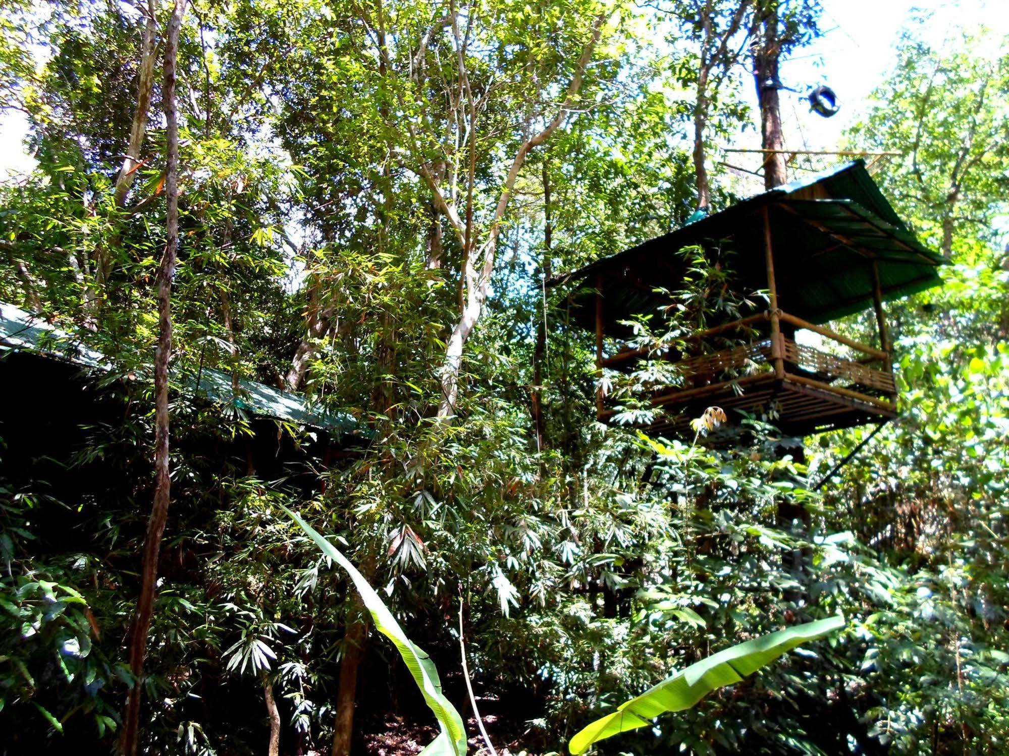 Khao Sok Tree House Resort Khao Sok National Park Bagian luar foto