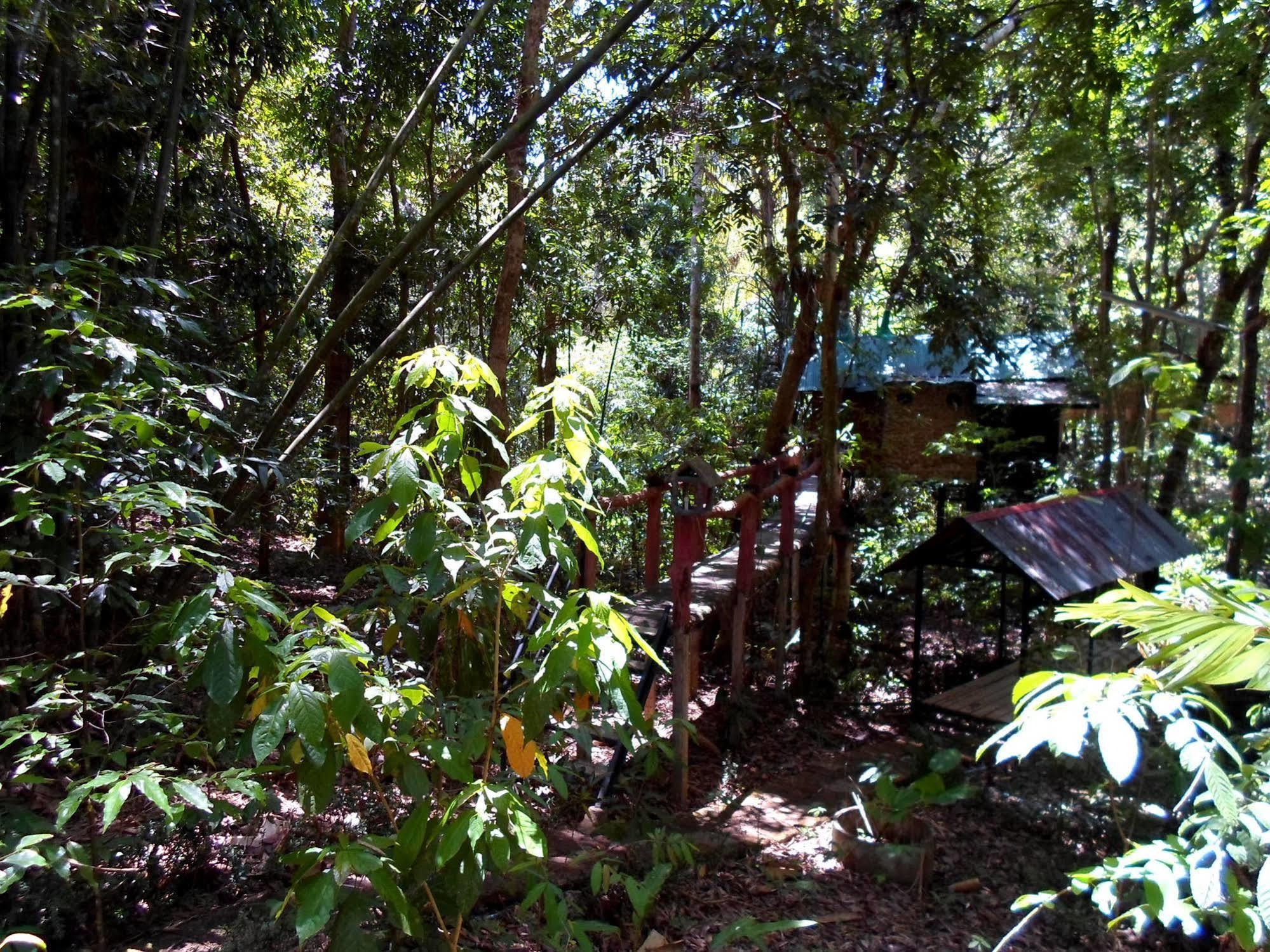 Khao Sok Tree House Resort Khao Sok National Park Bagian luar foto
