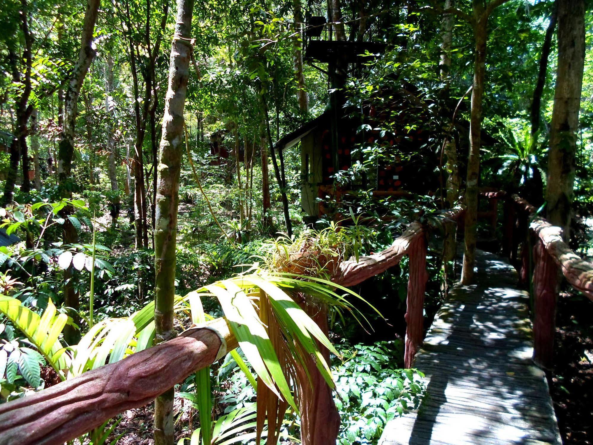 Khao Sok Tree House Resort Khao Sok National Park Bagian luar foto