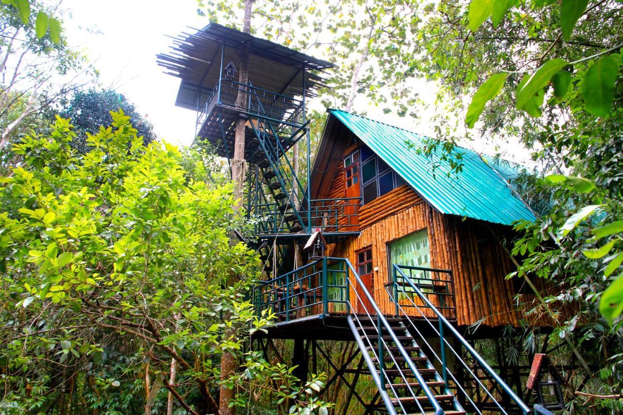 Khao Sok Tree House Resort Khao Sok National Park Bagian luar foto
