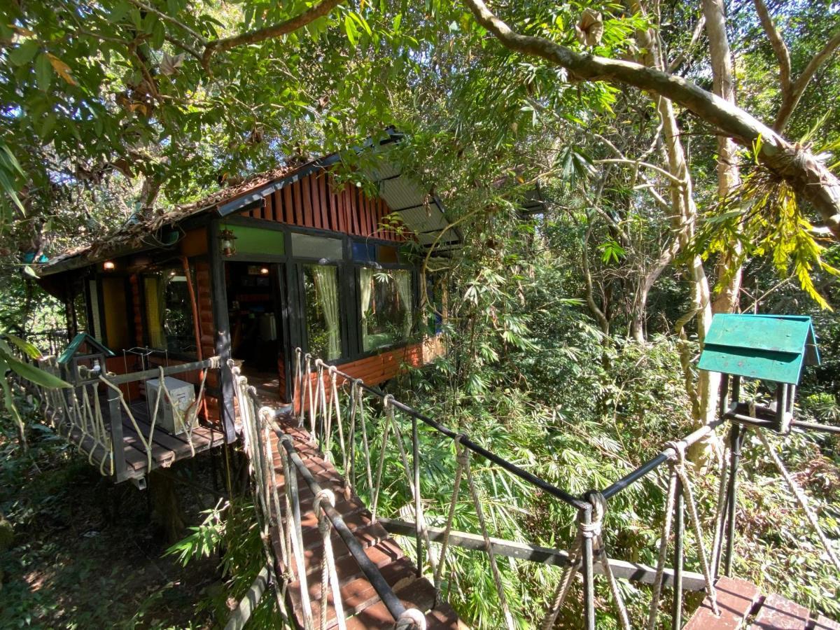 Khao Sok Tree House Resort Khao Sok National Park Bagian luar foto