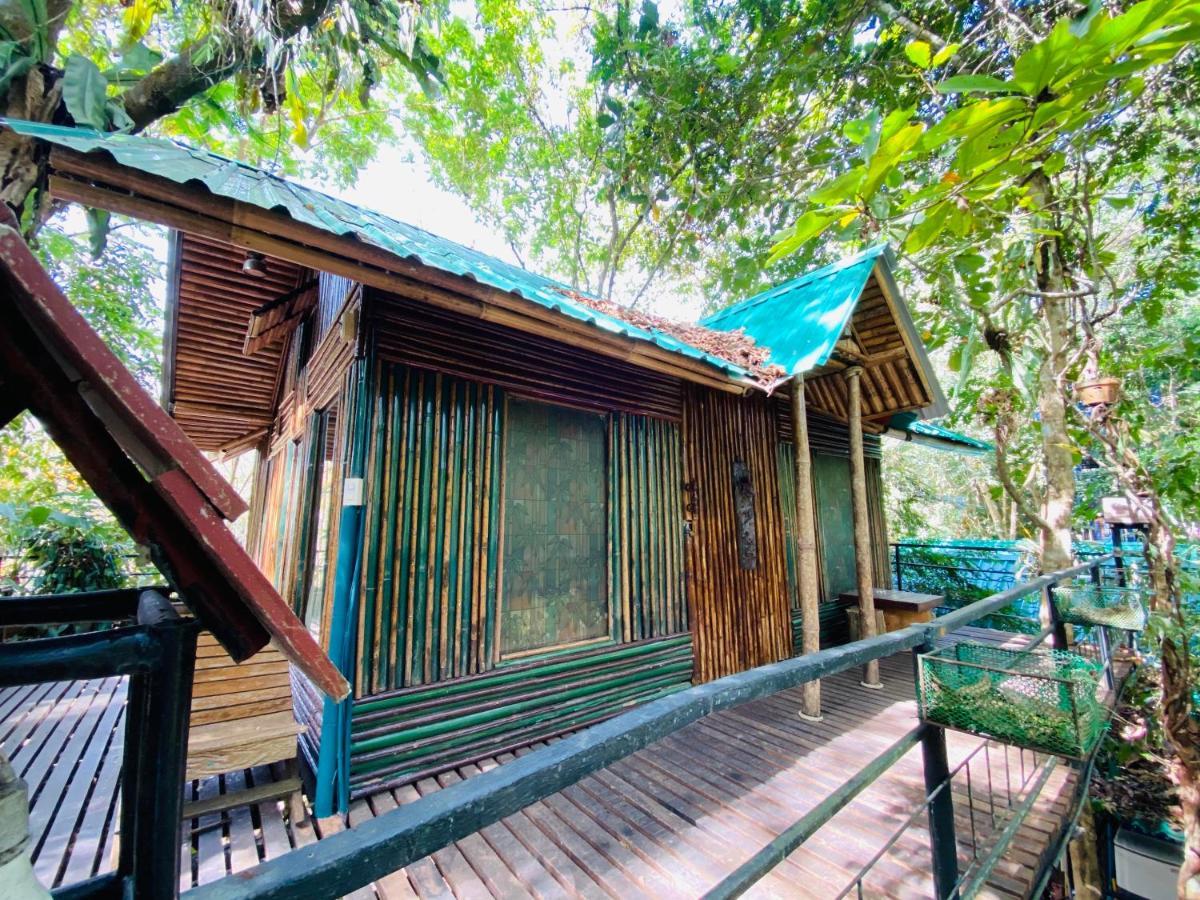 Khao Sok Tree House Resort Khao Sok National Park Bagian luar foto